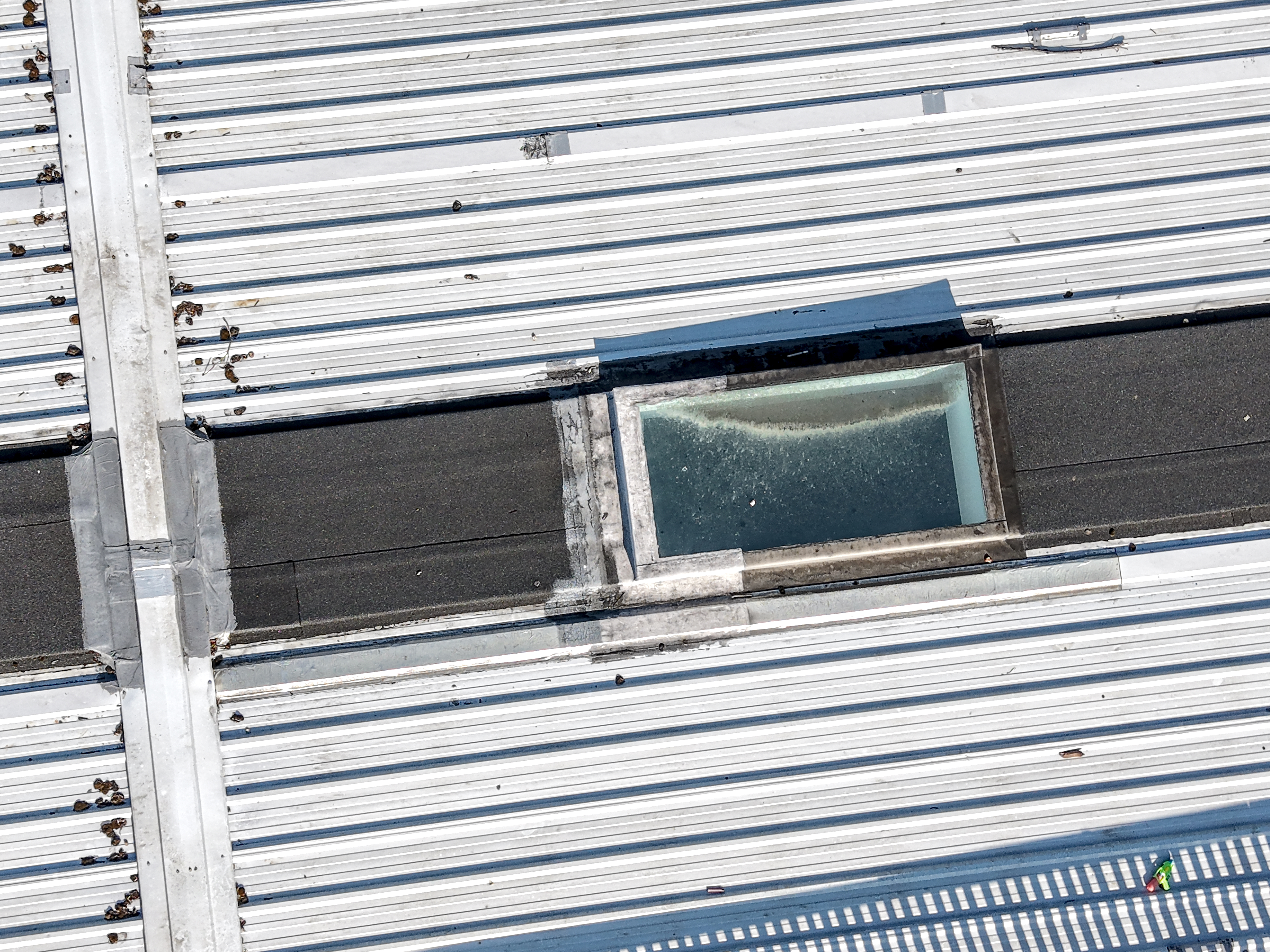 Slades Park skylight close-up